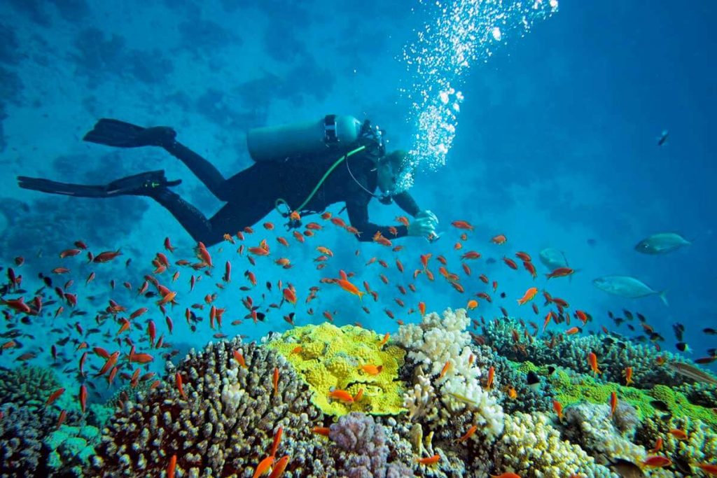 Séjour plongée sous marine